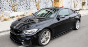 bmw pegasus1.jpg