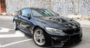 bmw pegasus2.jpg